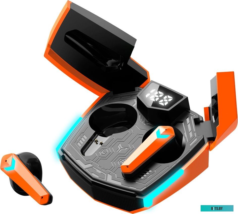 Наушники Canyon Doublebee GTWS-2 CND-GTWS2O