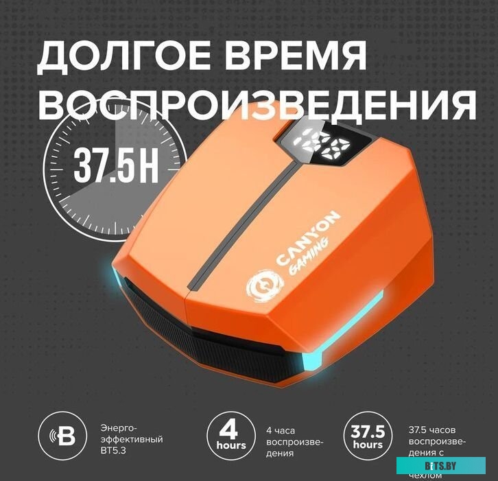 Наушники Canyon Doublebee GTWS-2 CND-GTWS2O