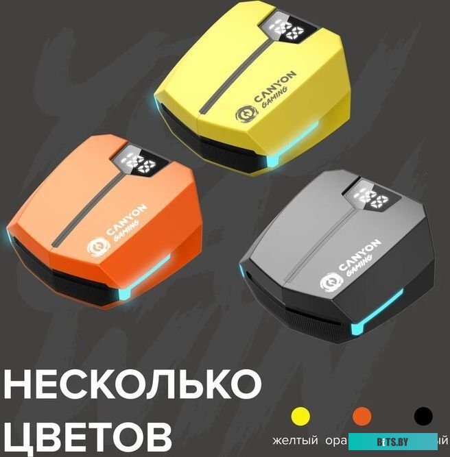 Наушники Canyon Doublebee GTWS-2 CND-GTWS2O