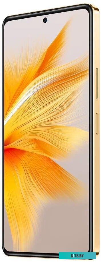 Infinix Note 30 Pro X678B 8GB/256GB (закатное золото)
