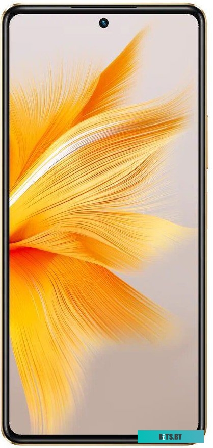 Infinix Note 30 Pro X678B 8GB/256GB (закатное золото)