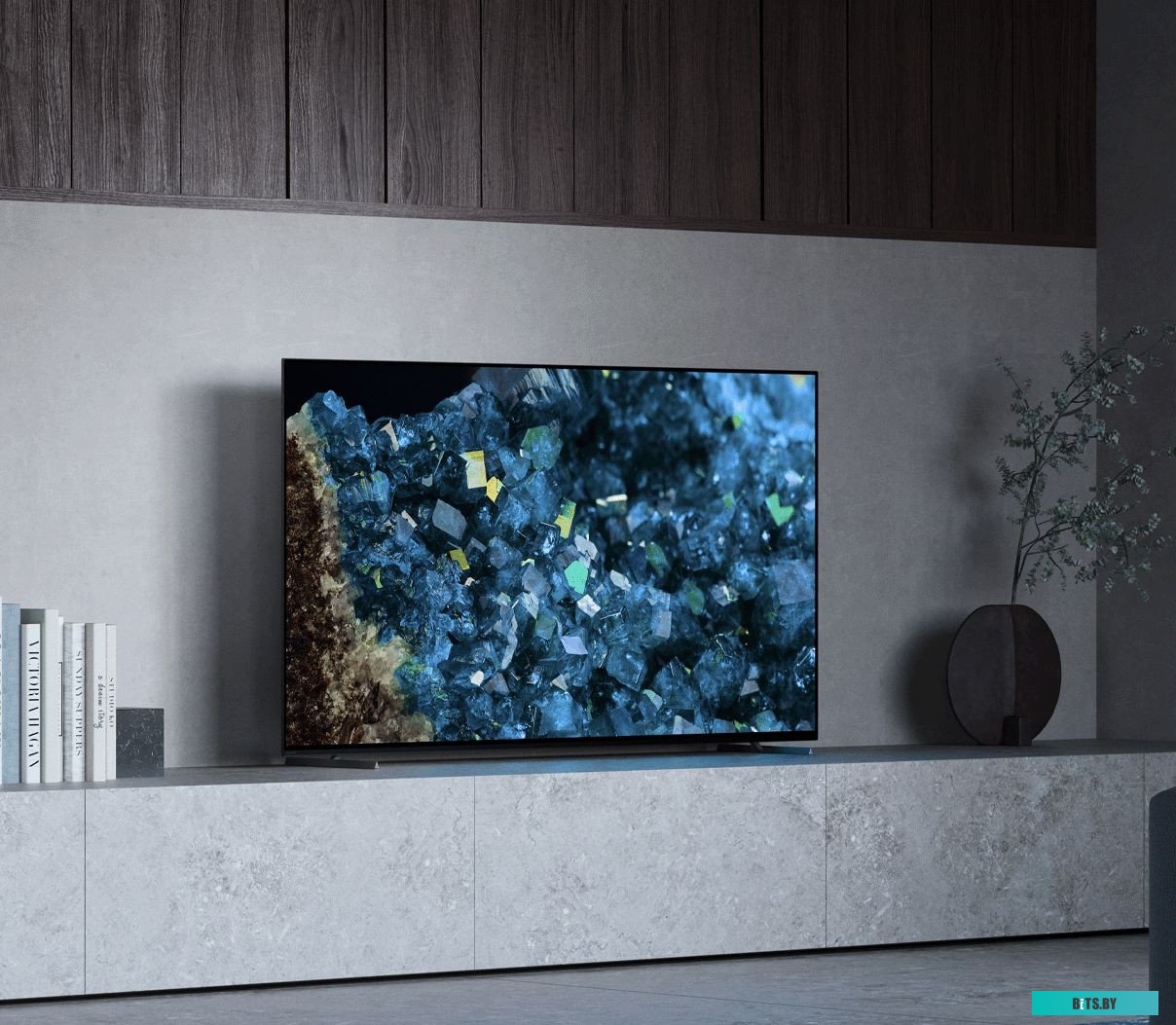 Телевизор Sony Bravia A80L XR-65A80L