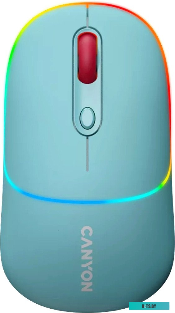 Мышь беспроводная Canyon MW-22 CNS-CMSW22DG