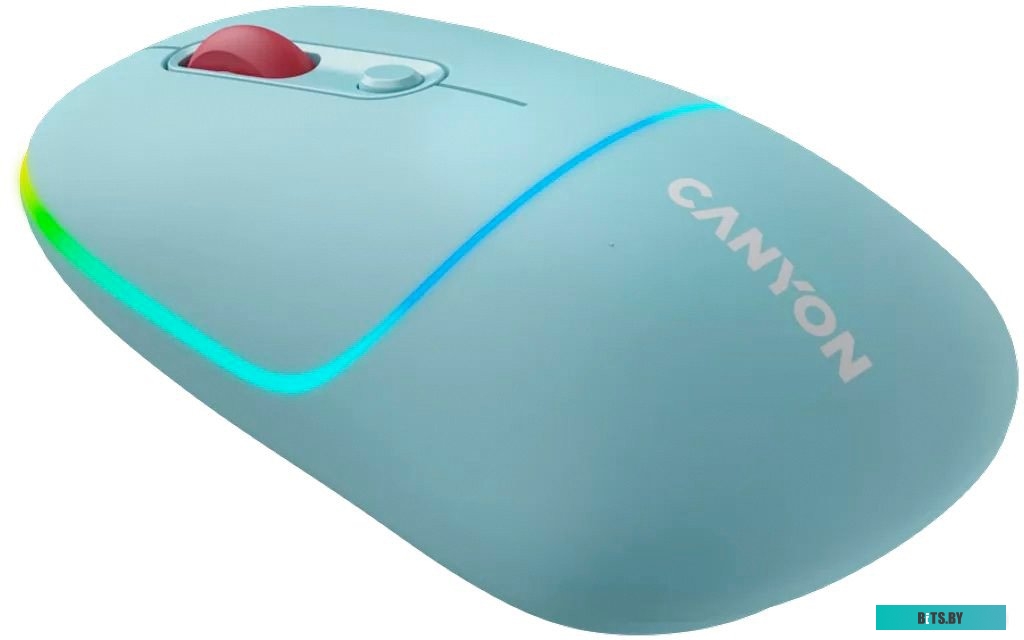Мышь беспроводная Canyon MW-22 CNS-CMSW22DG
