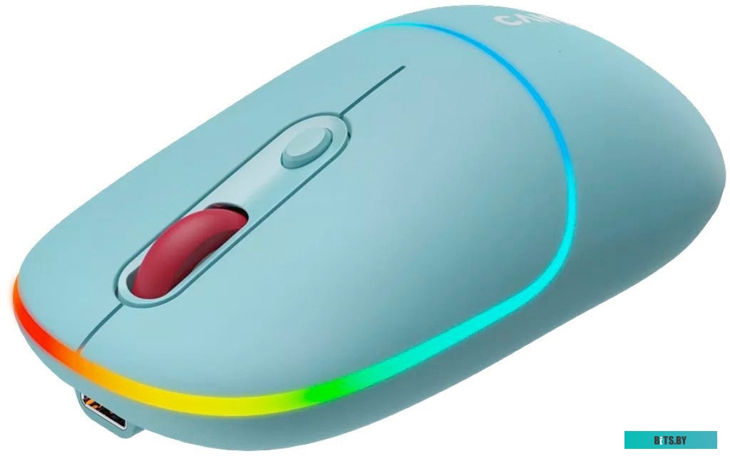 Мышь беспроводная Canyon MW-22 CNS-CMSW22DG