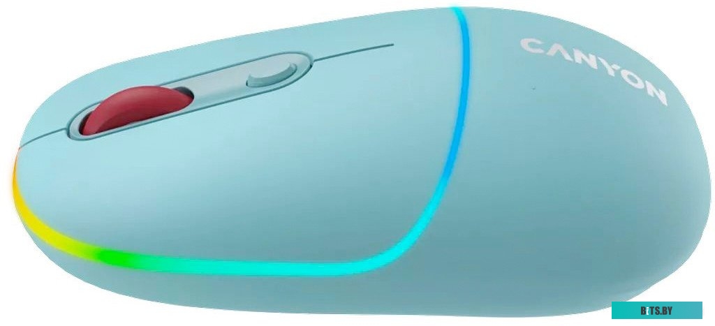 Мышь беспроводная Canyon MW-22 CNS-CMSW22DG