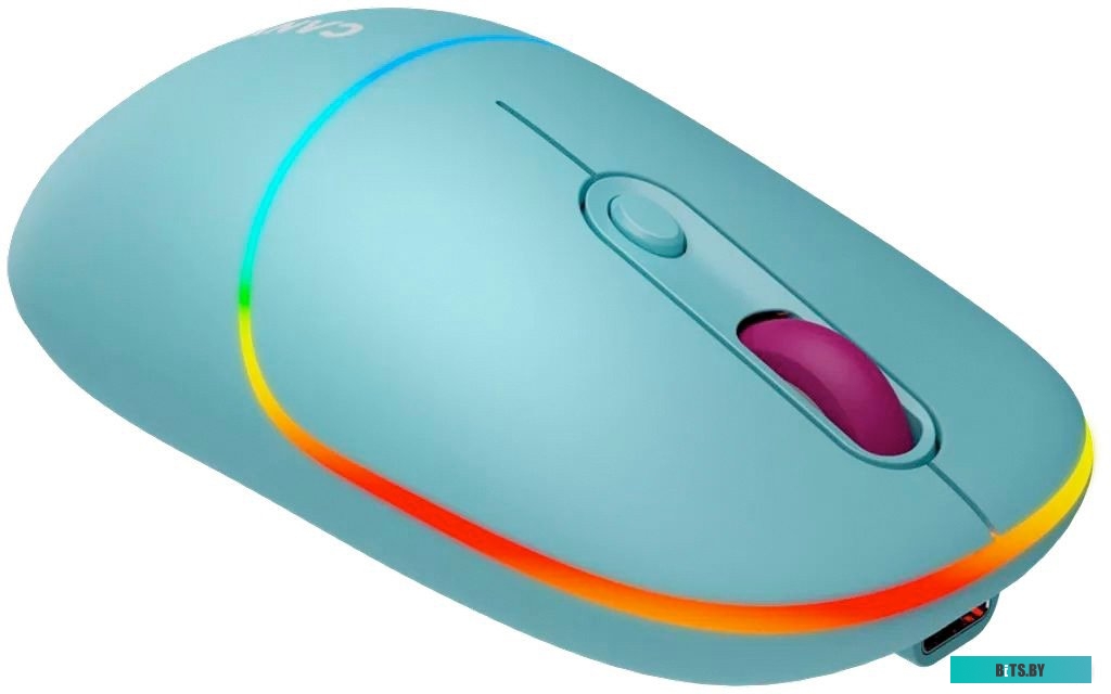 Мышь беспроводная Canyon MW-22 CNS-CMSW22DG
