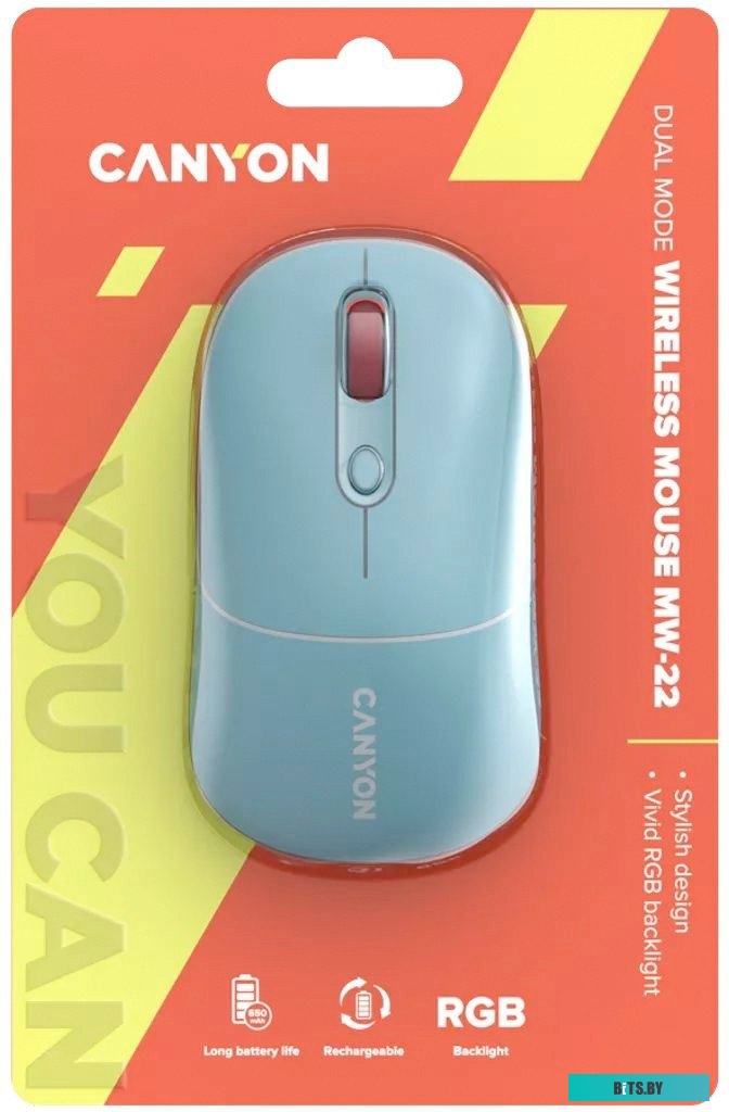 Мышь беспроводная Canyon MW-22 CNS-CMSW22DG