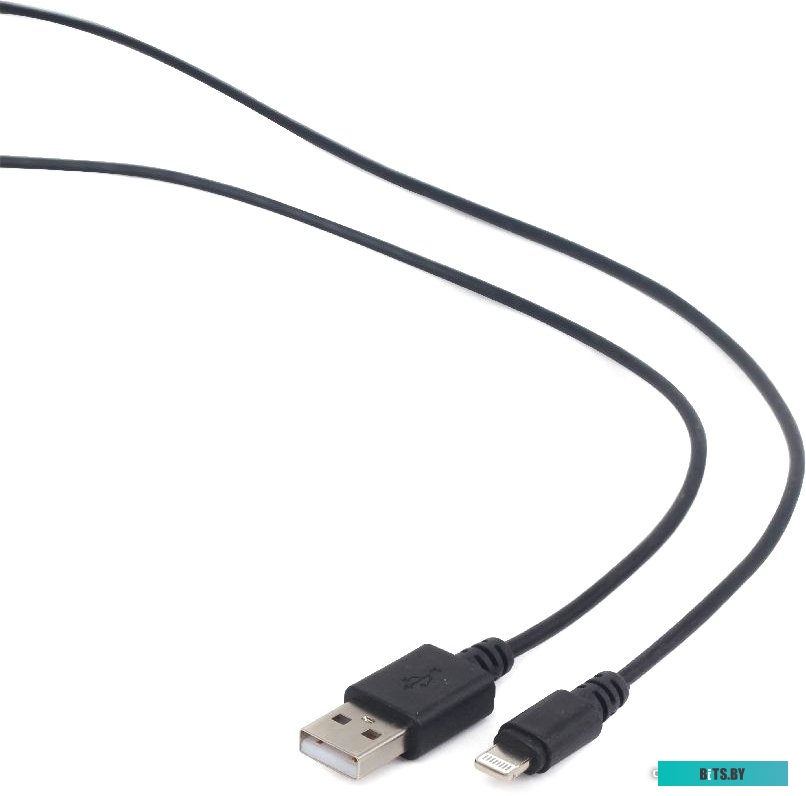 Кабель Cablexpert CC-USB2-AMLM-2M