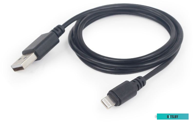 Кабель Cablexpert CC-USB2-AMLM-2M