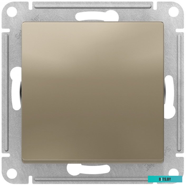 Розетка Schneider Electric AtlasDesign ATN000571