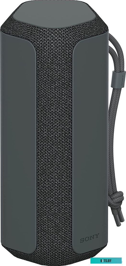 Беспроводная колонка Sony SRS-XE200 (черный) <SRS-XE200/BCE>