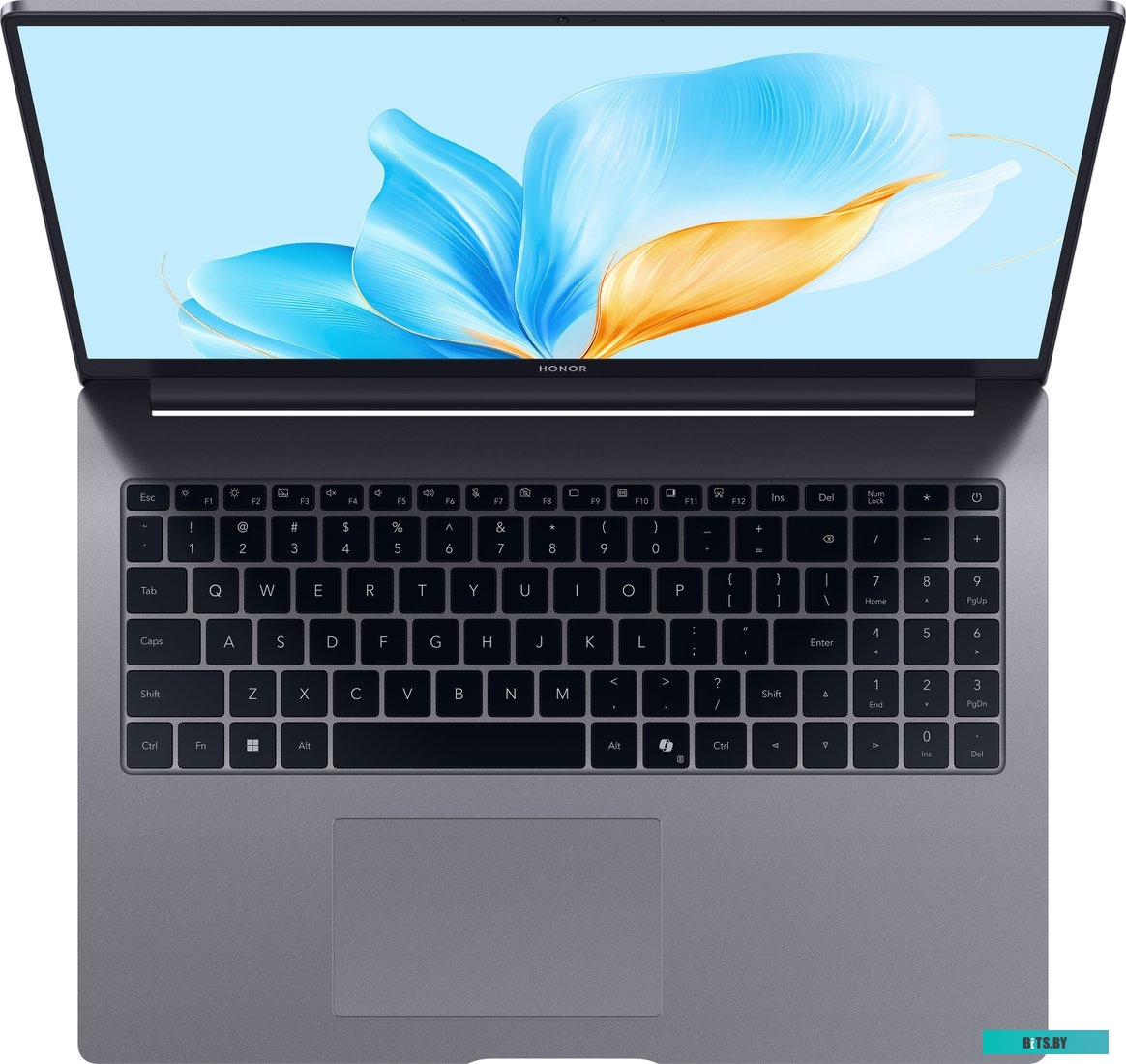 Ноутбук HONOR MagicBook X16 2025 BRG-385 BRG-385