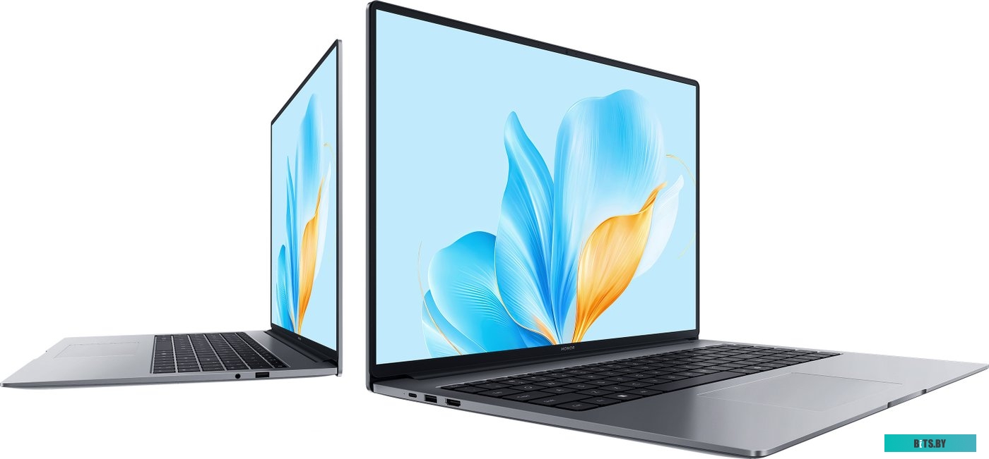 Ноутбук HONOR MagicBook X16 2025 BRG-385 BRG-385