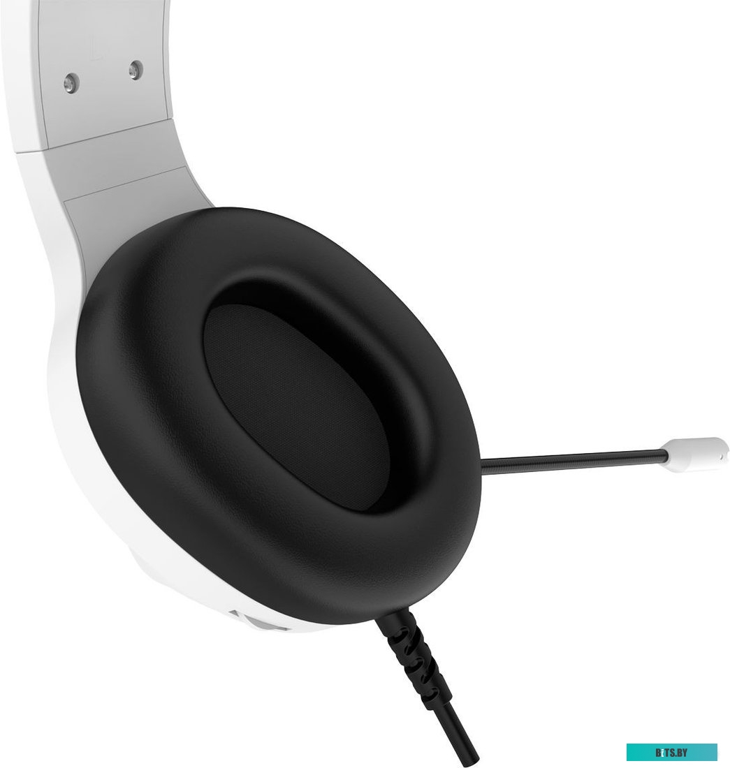 Canyon Shadder GH-6 (белый)