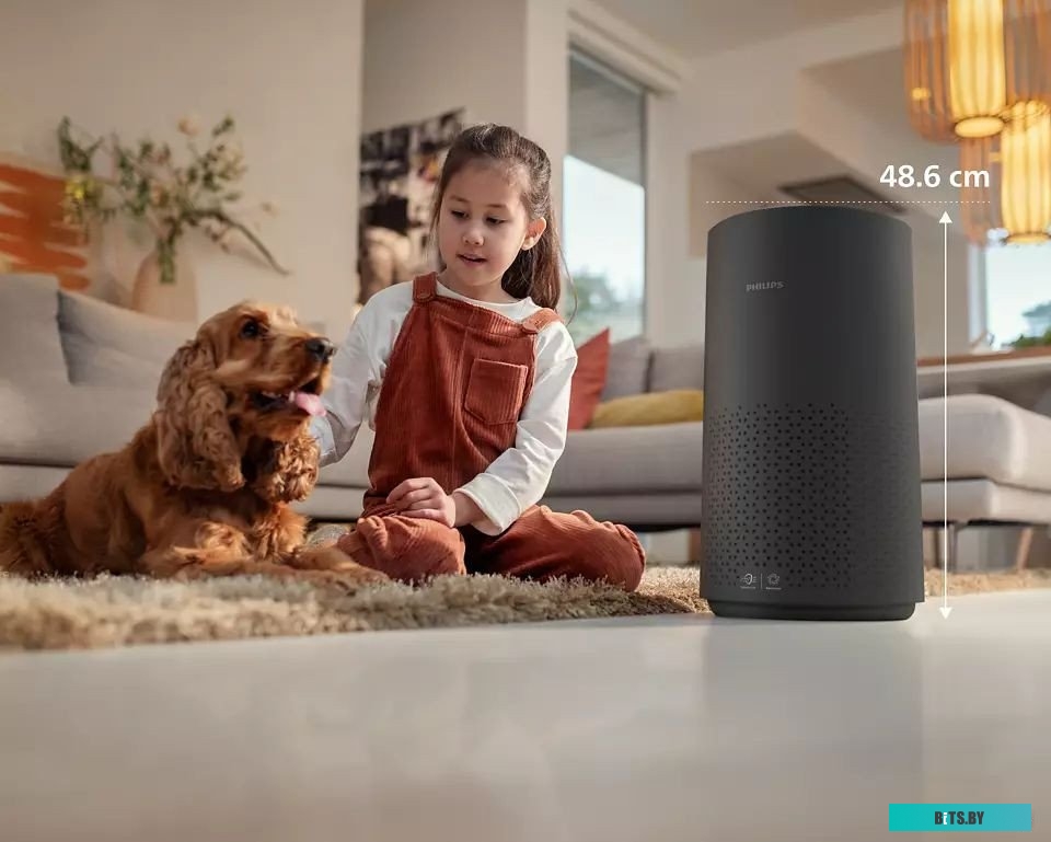 Philips 1000i Series AC1715/10