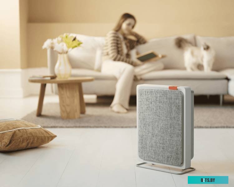 SmartMi Air Purifier E1 ZMKQJHQE11 (международная версия, белый)