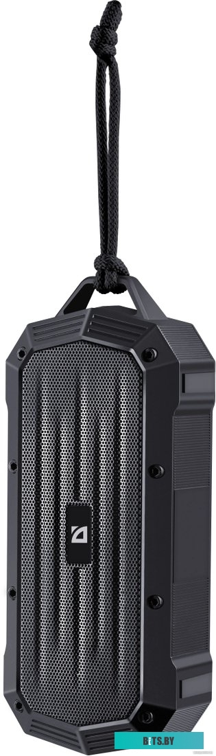 Портативная колонка Defender Octagon 65039