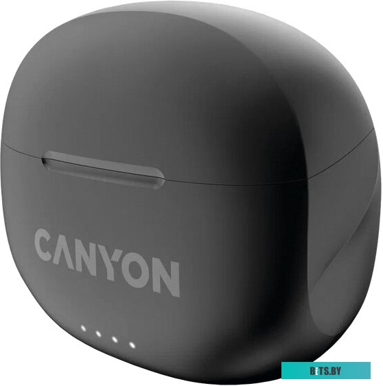 Наушники Canyon TWS-8 CNS-TWS8B
