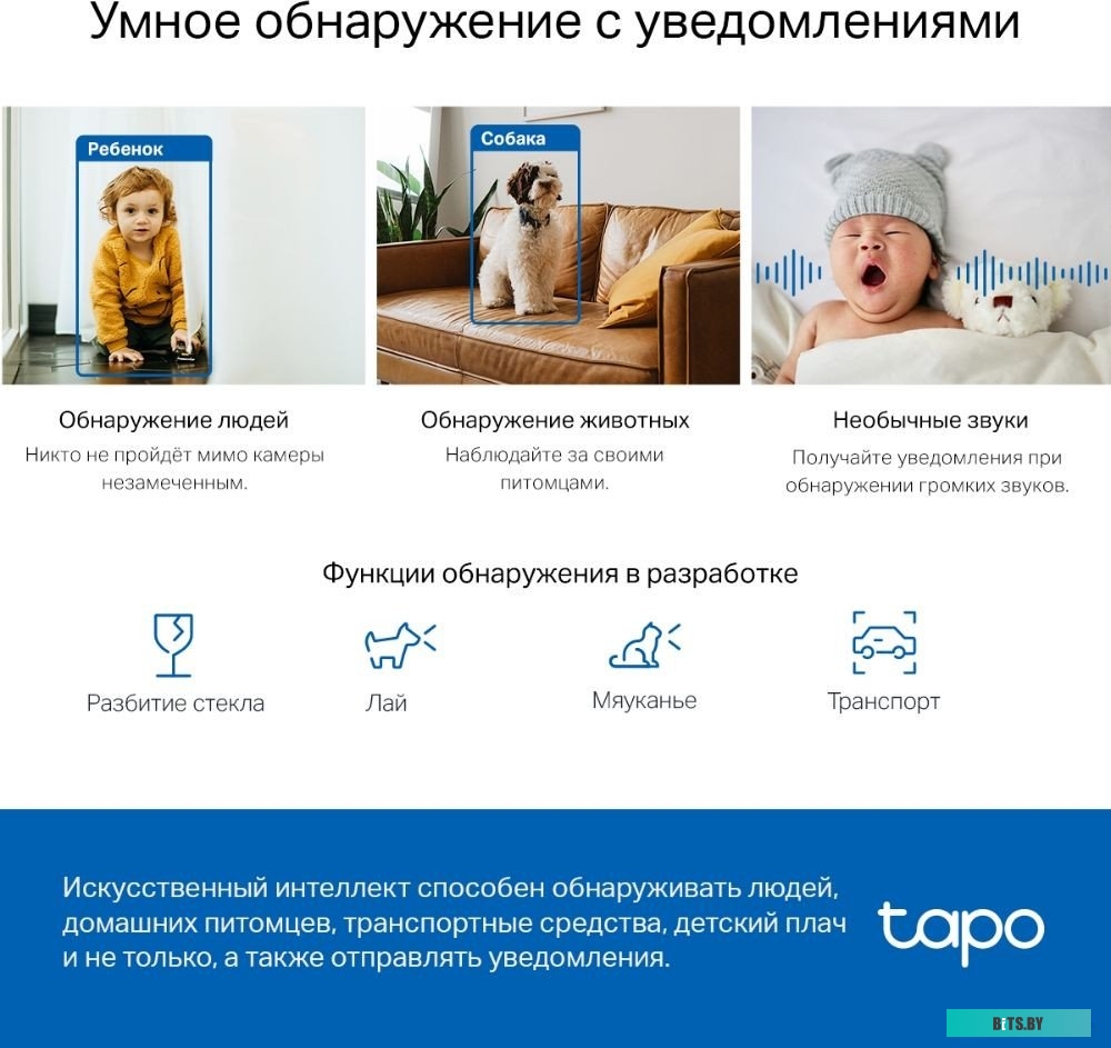 Умная Домашняя Поворотная Камера TP-Link Tapo C220