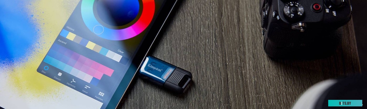 Флеш-накопитель Kingston DataTraveler 80 M 256GB