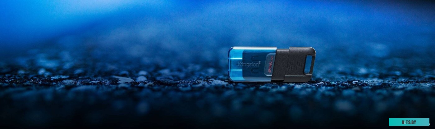 Флеш-накопитель Kingston DataTraveler 80 M 256GB