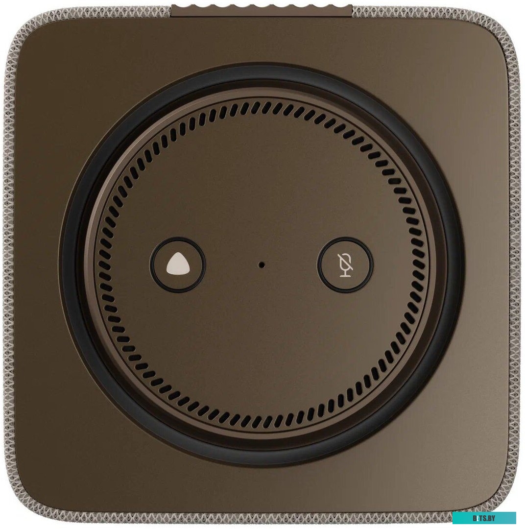 Яндекс Станция Макс с Zigbee, модель: YNDX-00053E (бежевый)