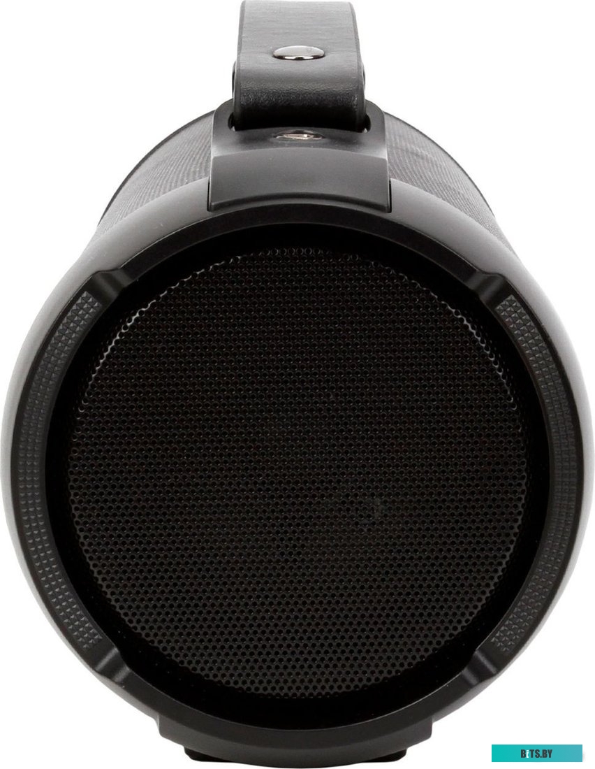 Digma D-PS1520 (черный)