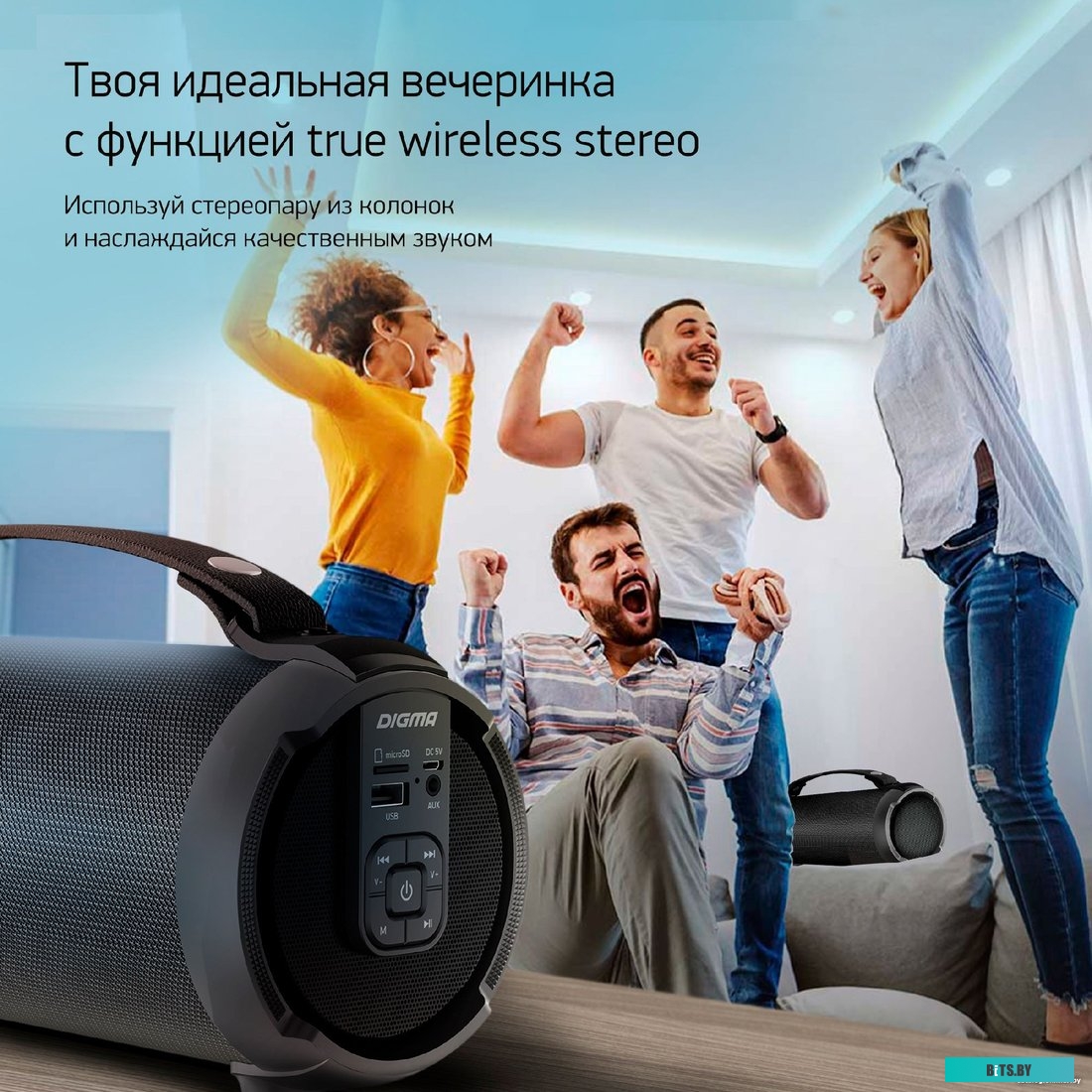 Digma D-PS1520 (черный)