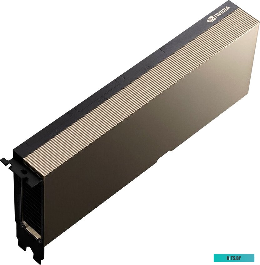 Nvidia Tesla A100 40GB Passive OEM (900-21001-0000-000)