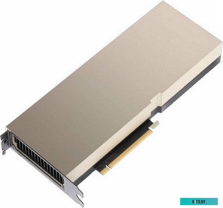 Nvidia Tesla A100 40GB Passive OEM (900-21001-0000-000)