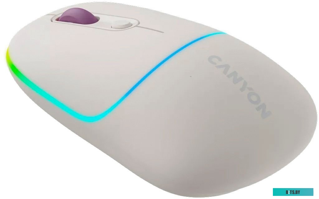 Мышь Canyon MW-22
