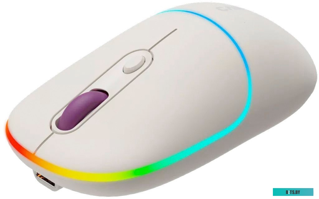 Мышь Canyon MW-22