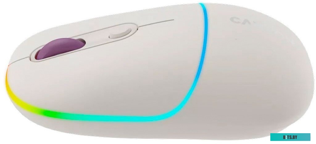 Мышь Canyon MW-22