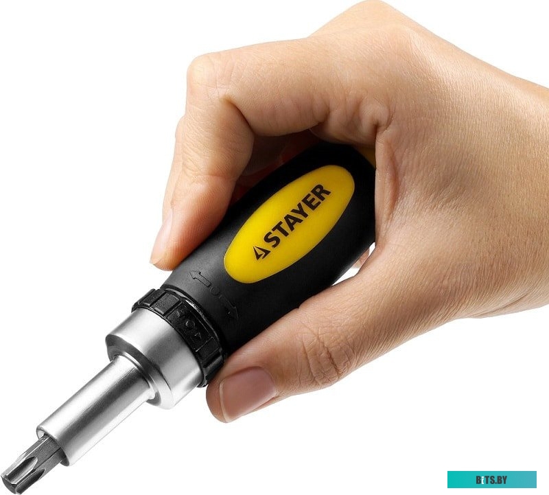 Stayer 2557-H38 (38 предметов)