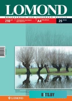 Фотобумага Lomond Глянцевая/Матовая двусторонняя A4 210 г/м2 25 листов 0102047