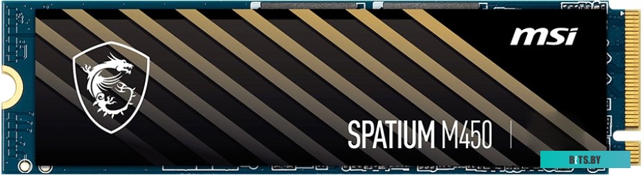 Накопитель SSD MSI Spatium M450 500GB S78-440K220-P83