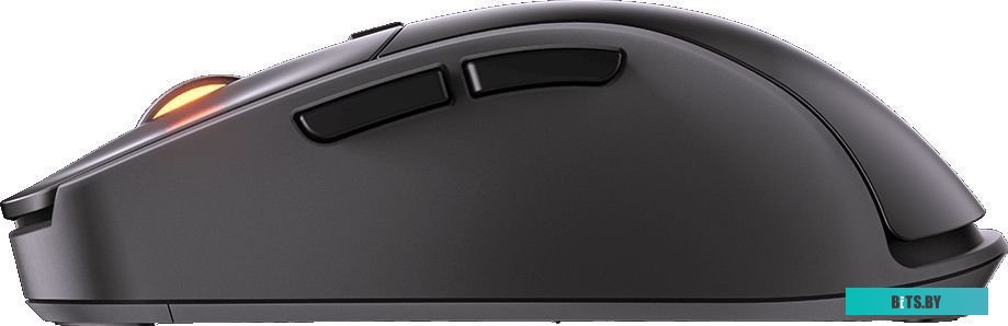 Игровая мышь Cougar Surpassion RX