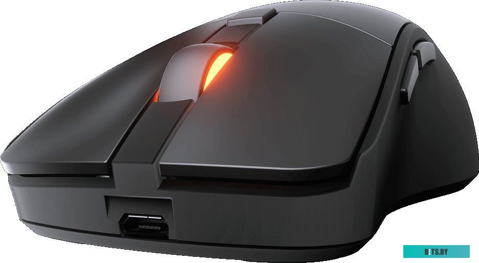 Игровая мышь Cougar Surpassion RX