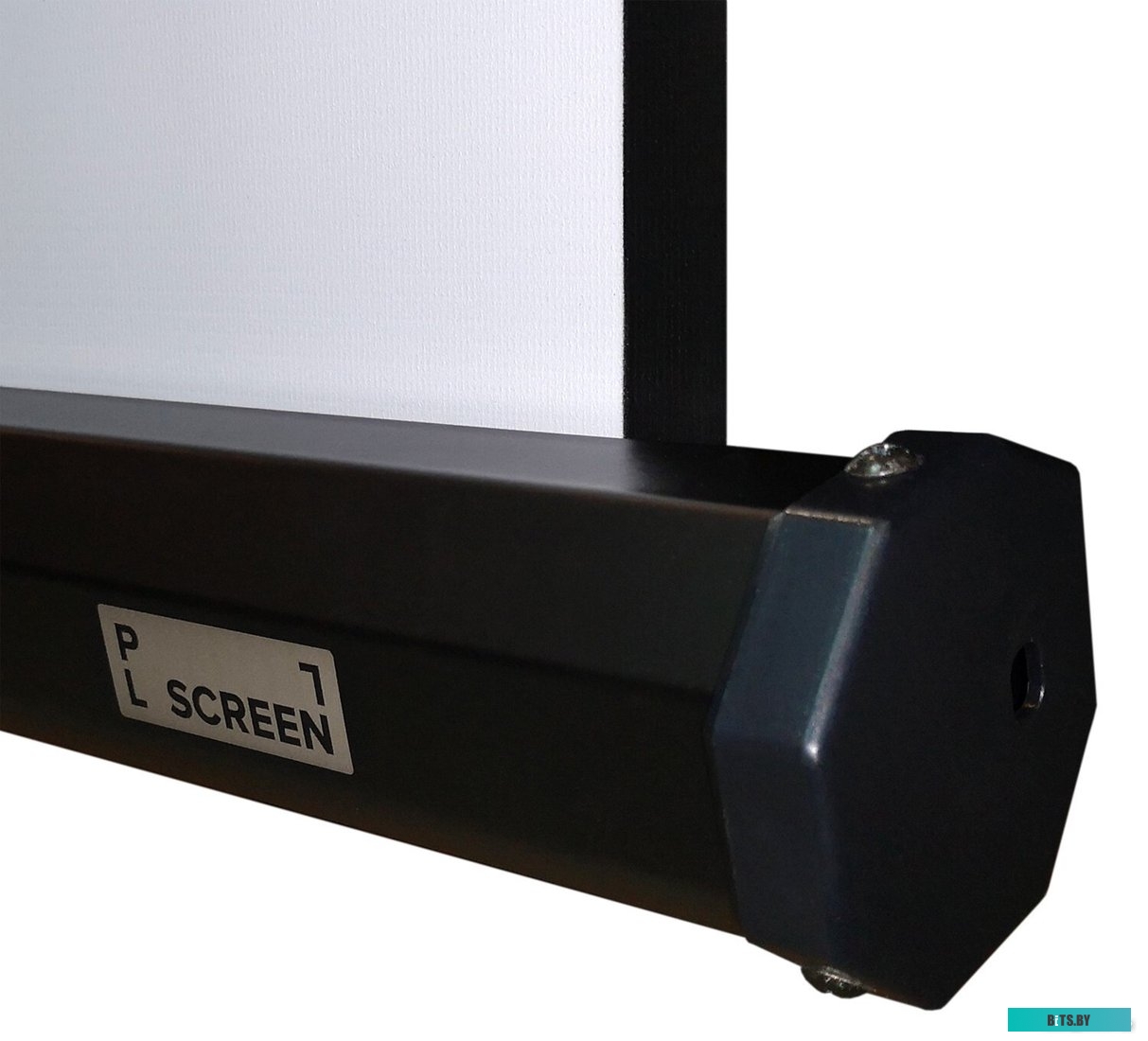 TRM-PC-95D Экран на штативе PL Magna 204x128 см (16:10) 95” MW