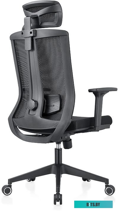 Офисное кресло Evolution ERGO BLISS Black (черный)