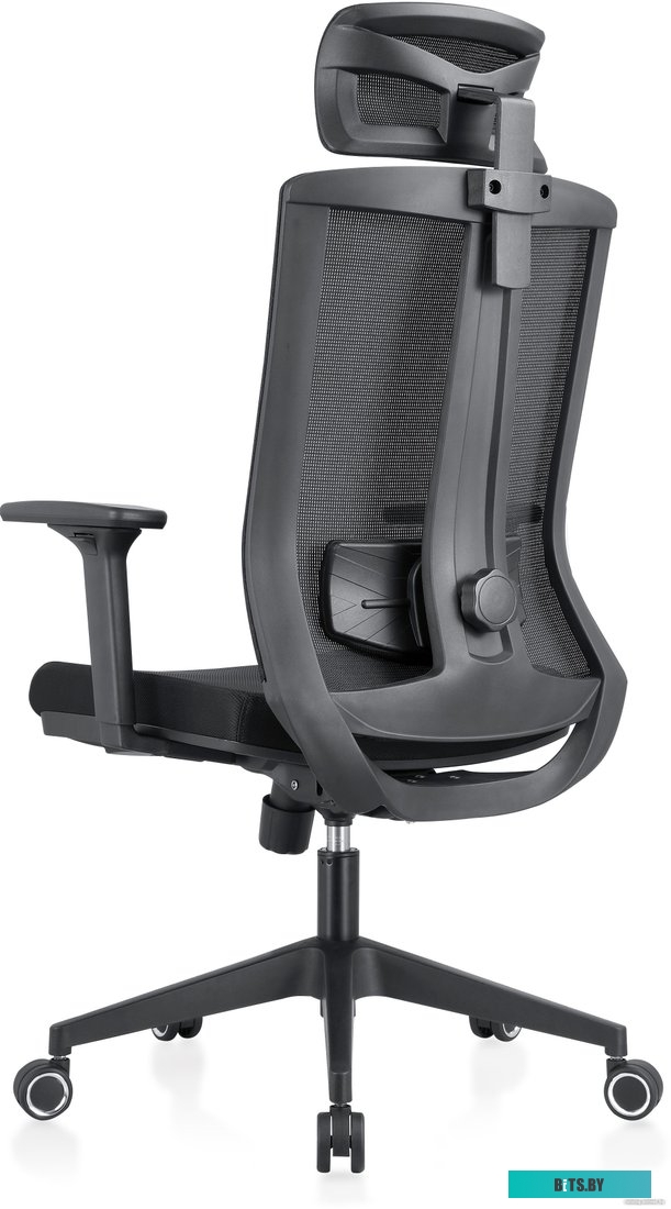 Офисное кресло Evolution ERGO BLISS Black (черный)