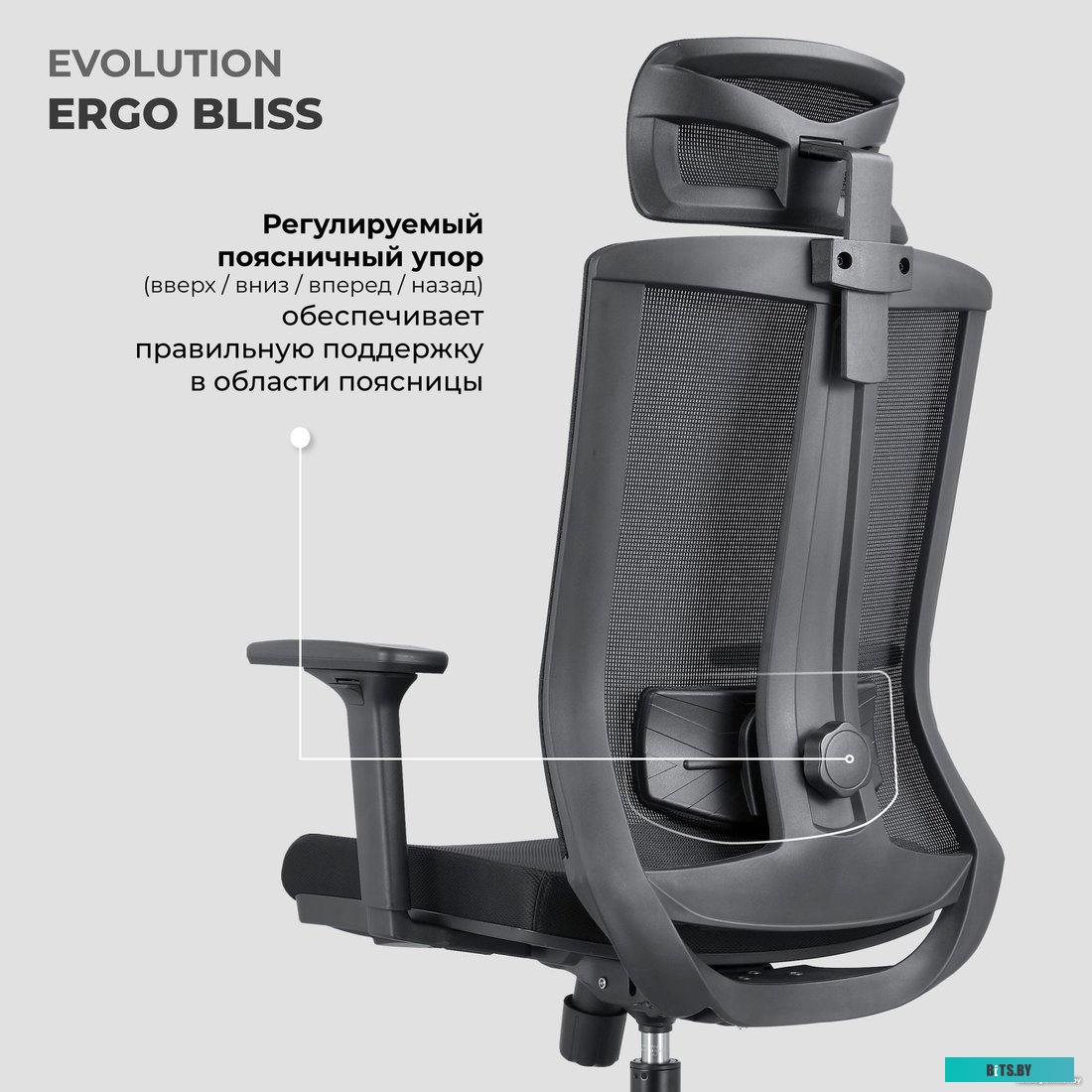Офисное кресло Evolution ERGO BLISS Black (черный)