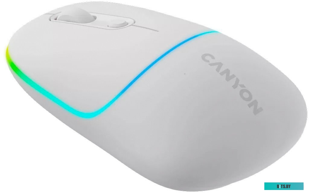 Мышь Canyon MW-22 CNS-CMSW22SW