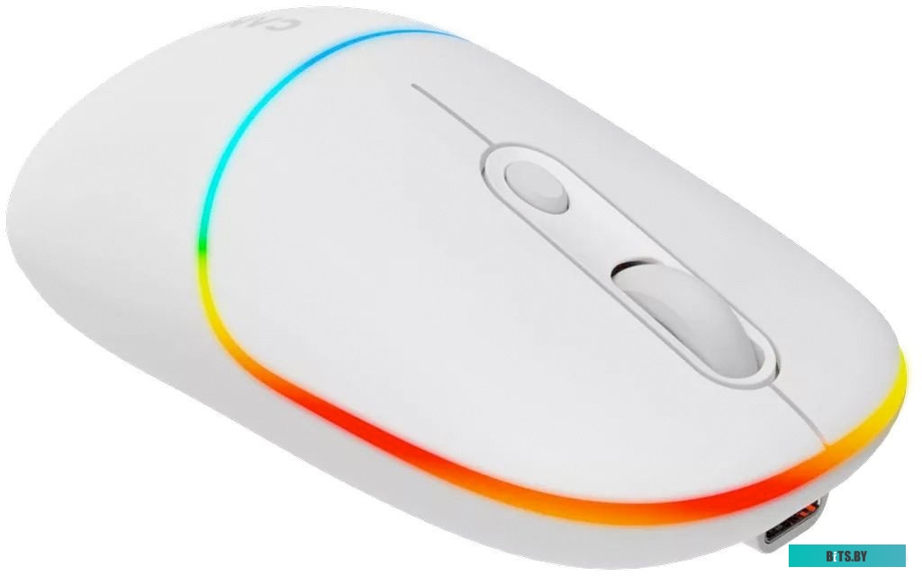 Мышь Canyon MW-22 CNS-CMSW22SW