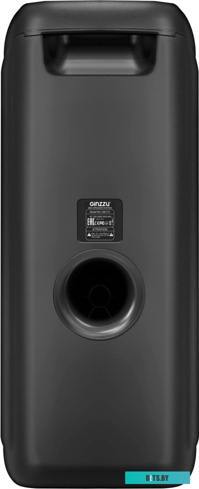 Колонка для вечеринок Ginzzu GM-215
