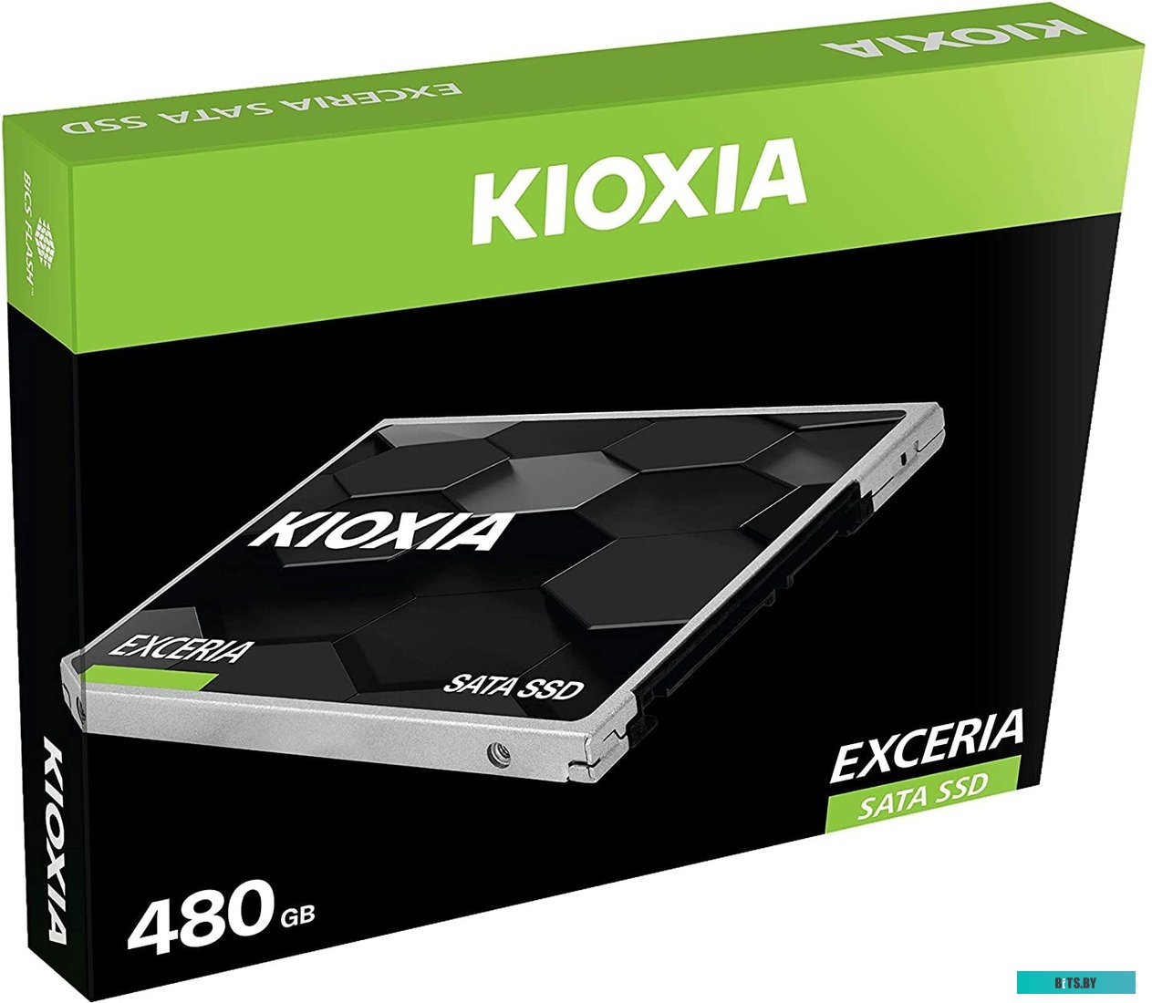 SSD Накопитель Kioxia Exceria 480GB LTC10Z480GG8