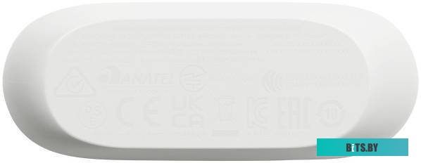 Наушники JBL Wave Buds (JBLWBUDSWHT)