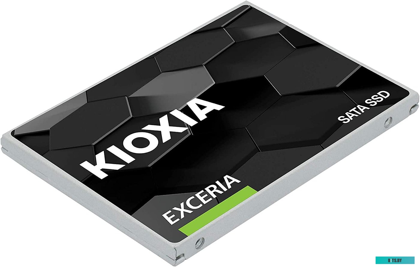 SSD Накопитель Kioxia Exceria 480GB LTC10Z480GG8