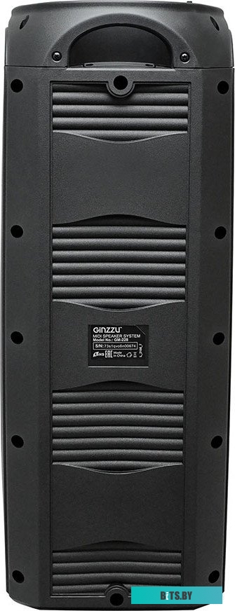 Портативная Беспроводная Колонка Ginzzu GM-228